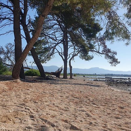 Penthouse Apartman Marcelina In Trogir Buitenkant foto